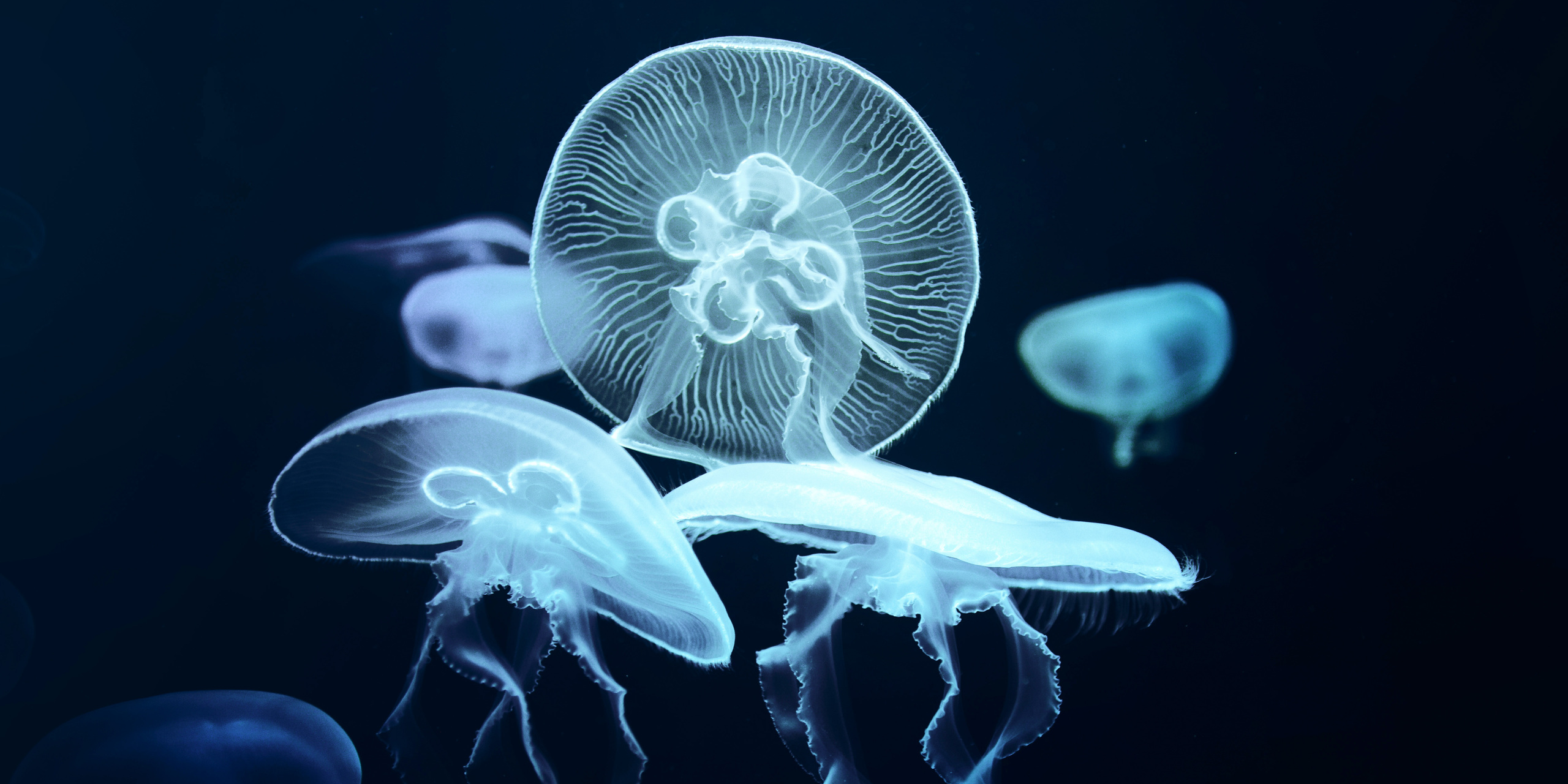 Considering climate as part of our investment process