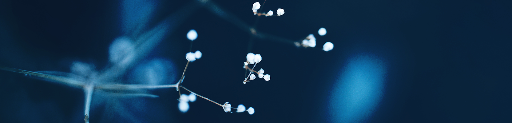 Superannuation and retirement