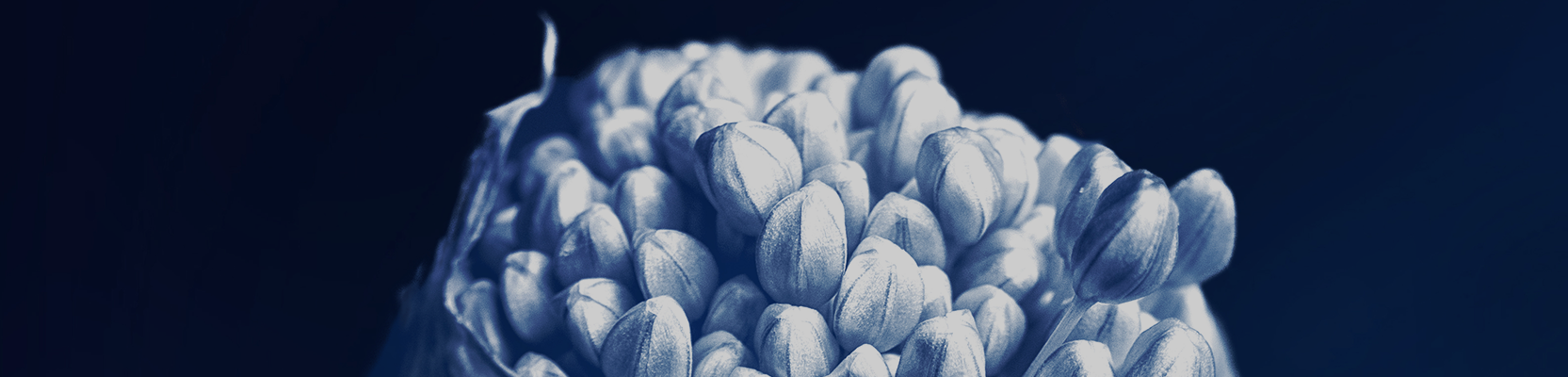 Holistic advice for private clients