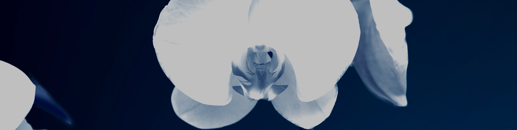 Family office services