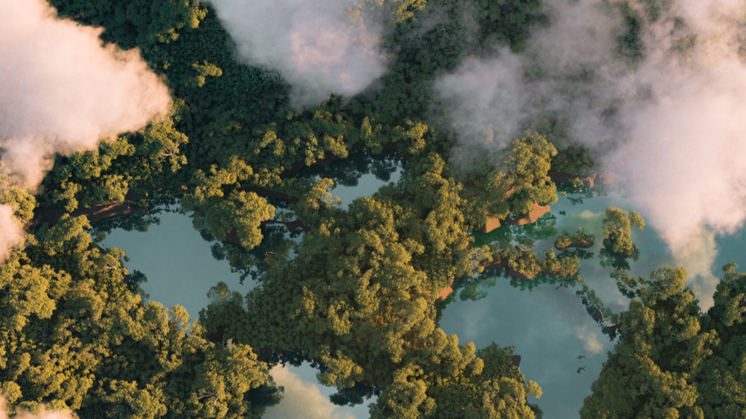 australian-nfps-and-the-sustainable-development-goals-1500x419 (1).jpg